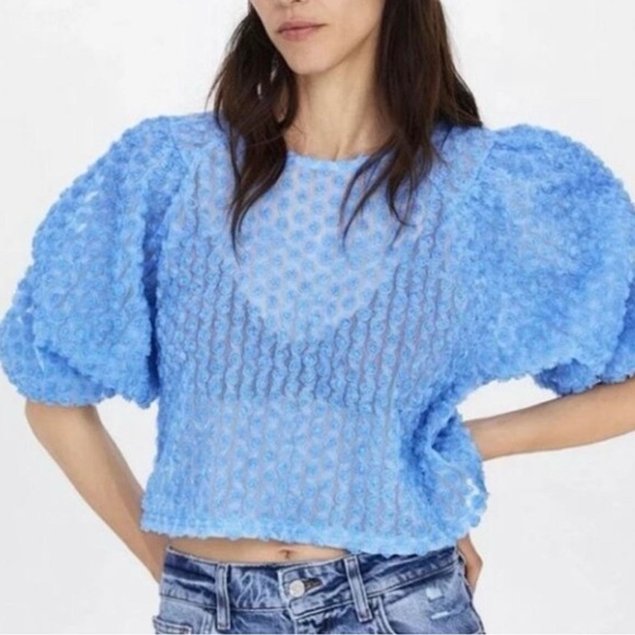 Zara Tops - NWOT - Zara Blue Floral Roae Bud Tulle Puff Sleeve Cropped Top size M